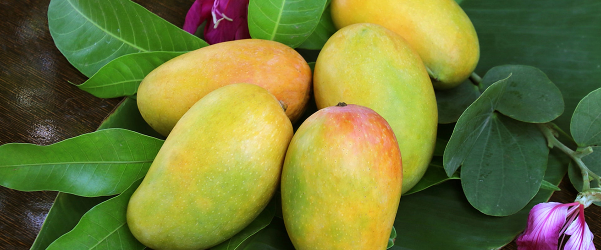 Where to Buy Wholesale Raw Mangoes