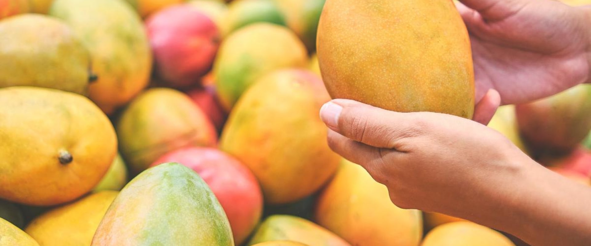 Can I Make Juice from a Whole Wholesale Raw Mango?