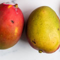 Freezing Mangoes: How to Preserve the Sweetness