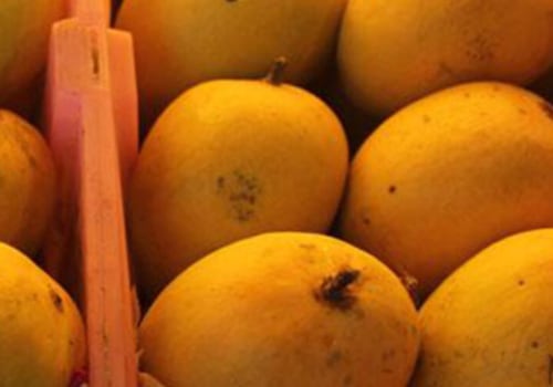 Buying Wholesale Raw Mangoes: What You Need to Know